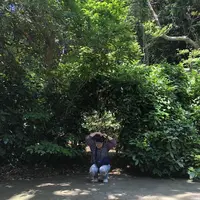 猿島の写真・動画_image_318650