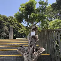 猿島の写真・動画_image_318651