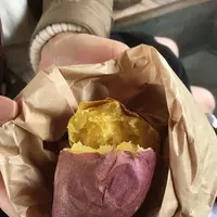 芦原温泉駅の写真・動画_image_318749