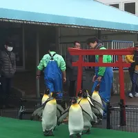 越前松島水族館の写真・動画_image_318752