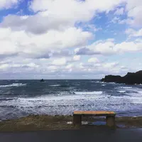 越前松島水族館の写真・動画_image_318754