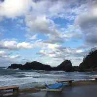 越前松島水族館の写真・動画_image_318755