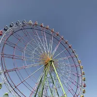 国営ひたち海浜公園の写真・動画_image_318758