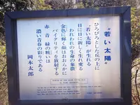 日本モンキーセンターの写真・動画_image_318800