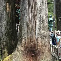 三峯神社の写真・動画_image_318808