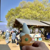 国営ひたち海浜公園の写真・動画_image_318823