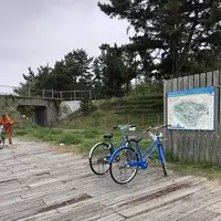 国営ひたち海浜公園の写真・動画_image_318846