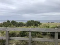 国営ひたち海浜公園の写真・動画_image_318848