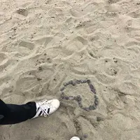 国営ひたち海浜公園の写真・動画_image_318849