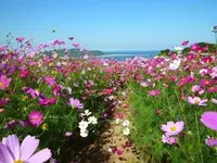 のこのしまアイランドパークの写真・動画_image_318855