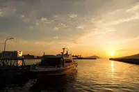 のこのしまアイランドパークの写真・動画_image_318856