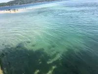 日本三景碑 天橋立の写真・動画_image_318879