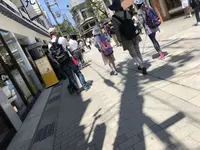 日本三景碑 天橋立の写真・動画_image_318880