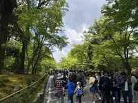 金閣寺（鹿苑寺）の写真・動画_image_318926