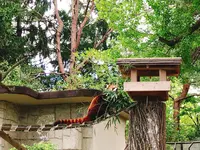 八木山動物公園フジサキの杜の写真・動画_image_319020