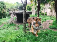八木山動物公園フジサキの杜の写真・動画_image_319023