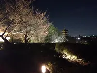 京都市の写真・動画_image_319031