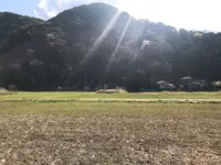 西伊豆町の写真・動画_image_319072