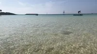 きしもと食堂の写真・動画_image_319074
