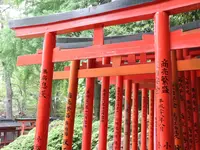 根津神社の写真・動画_image_319084