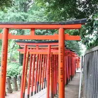 根津神社の写真・動画_image_319085