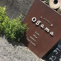 Ogamaの写真・動画_image_319180
