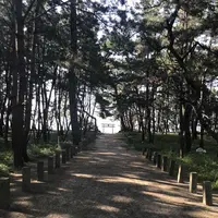 生の松原海岸森林公園の写真・動画_image_319197