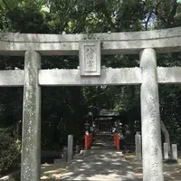 木の葉モール橋本の写真・動画_image_319204