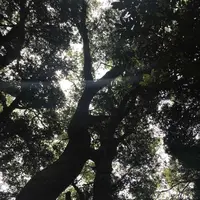 木の葉モール橋本の写真・動画_image_319207