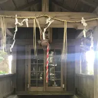 木の葉モール橋本の写真・動画_image_319209