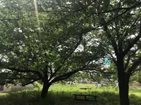 木の葉モール橋本の写真・動画_image_319210