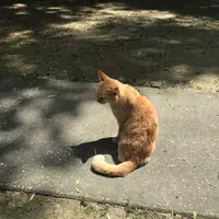 木の葉モール橋本の写真・動画_image_319211
