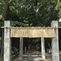 木の葉モール橋本の写真・動画_image_319215