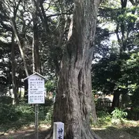 木の葉モール橋本の写真・動画_image_319217
