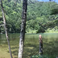 上高地の写真・動画_image_319223
