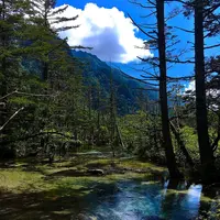 上高地の写真・動画_image_319226