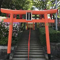 紅葉八幡宮の写真・動画_image_319233