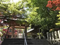 紅葉八幡宮の写真・動画_image_319237