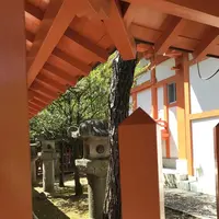 紅葉八幡宮の写真・動画_image_319238