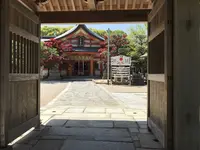 紅葉八幡宮の写真・動画_image_319239
