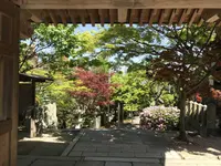 紅葉八幡宮の写真・動画_image_319241