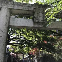 紅葉八幡宮の写真・動画_image_319246