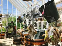 ドロフィーズインテリアの写真・動画_image_319303