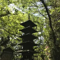愛宕神社の写真・動画_image_319343