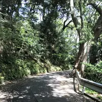 愛宕神社の写真・動画_image_319346