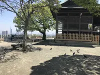 愛宕神社の写真・動画_image_319351