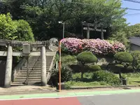 愛宕神社の写真・動画_image_319354