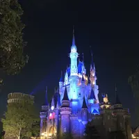 東京ディズニーリゾートの写真・動画_image_319362