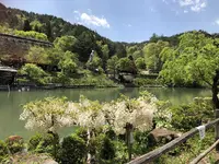 飛騨高山の写真・動画_image_319389