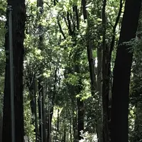 野々下水辺公園の写真・動画_image_319452
